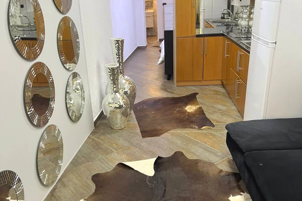 House for Rent Garsoniere in Tirana - 450 Euro