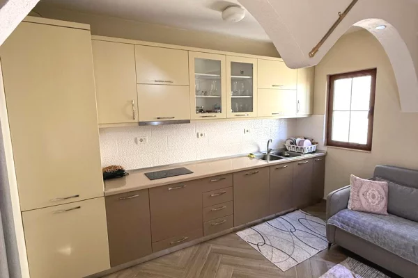 Apartment for rent in Tirana 1+1, Furnished