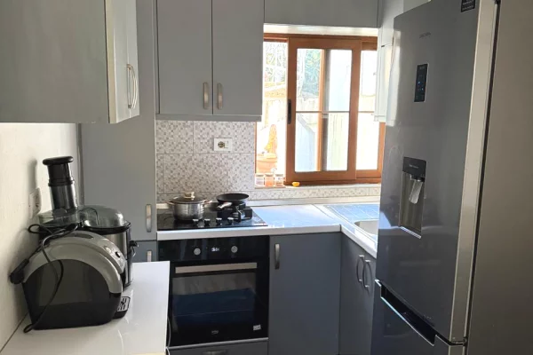 Apartment for rent in Tirana 1+1, Furnished