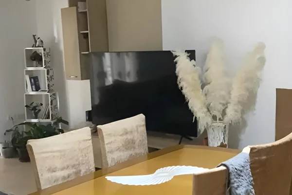 Appartamento in affitto a Tirana 2+1, Arredato