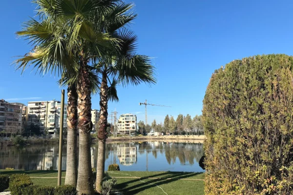 Shtepi me qera Apartament ne Tirane, 2+1, Mobilimi E mobiluar, Pagesa 750  Euro.