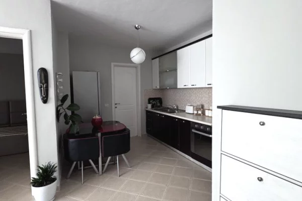 Shtepi me qera Apartament ne Tirane, 1+1, Mobilimi E mobiluar, Pagesa 600  Euro.