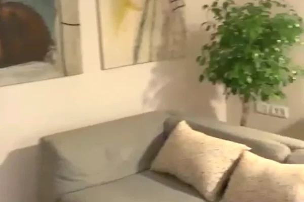 Shtepi me qera Apartament ne Tirane, 1+1, Mobilimi E mobiluar, Pagesa 650  Euro.