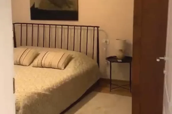 Shtepi me qera Apartament ne Tirane, 1+1, Mobilimi E mobiluar, Pagesa 650  Euro.