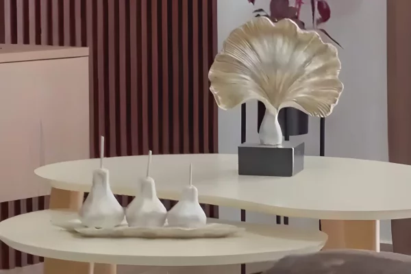 Apartment for rent in Tirana 2+1, Furnished