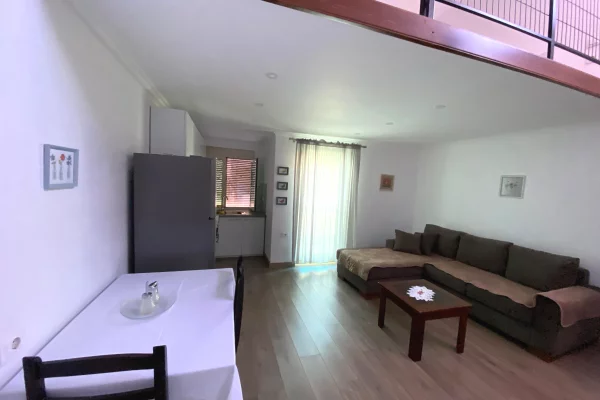 House for Rent 1+1 in Tirana - 600 Euro
