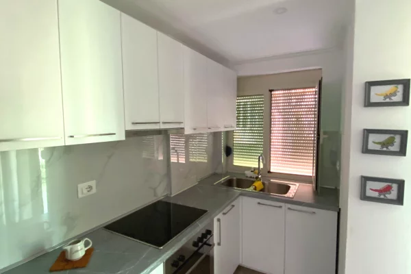 Shtepi me qera Apartament ne Tirane, 1+1, Mobilimi E mobiluar, Pagesa 600  Euro.