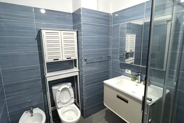 Shtepi me qera Apartament ne Tirane, 1+1, Mobilimi E mobiluar, Pagesa 450  Euro.