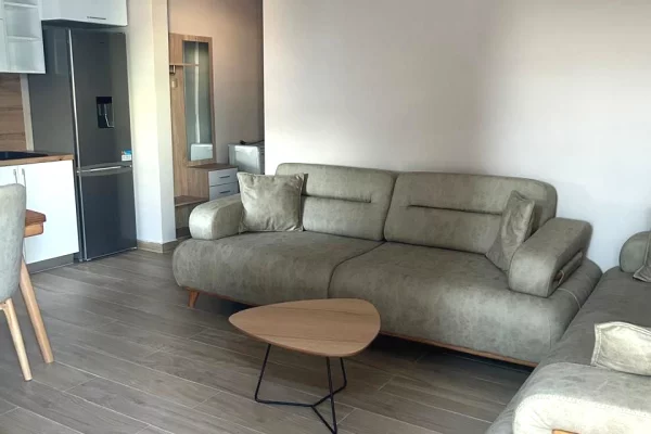 Shtepi me qera 1+1 ne Tirane - 350 Euro