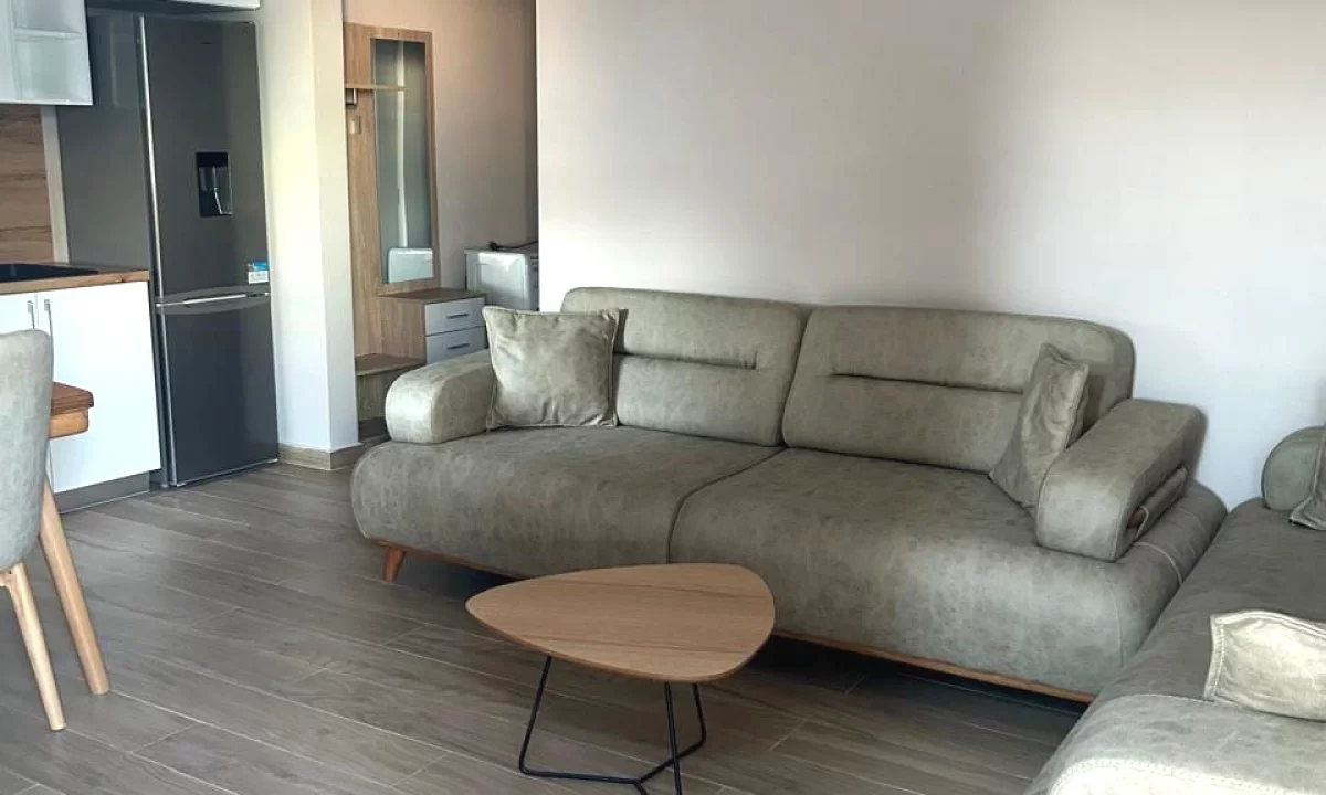 Shtepi me qera Apartament ne Tirane, 1+1, Mobilimi E mobiluar, Pagesa 350  Euro.