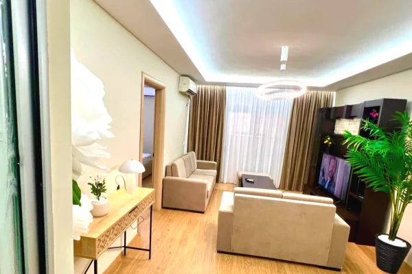 Shtepi me qera Apartament ne Tirane, 1+1, Mobilimi E mobiluar, Pagesa 550  Euro.