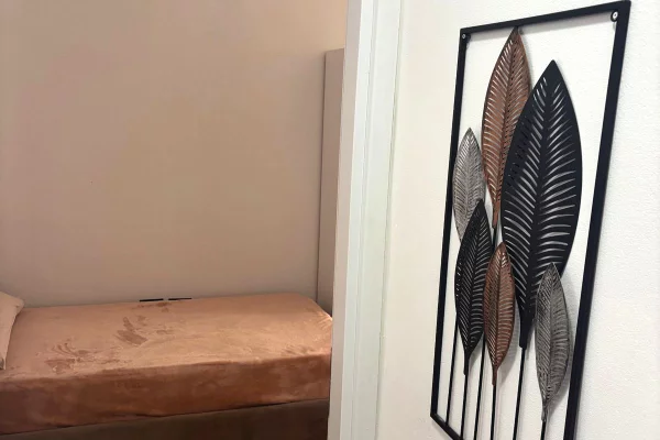 Apartment for rent in Tirana 2+1, Furnished