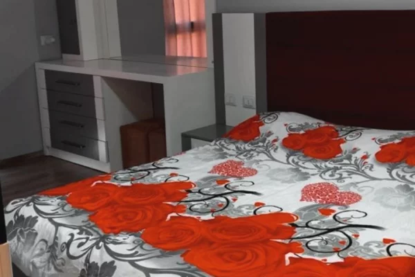Shtepi me qera Apartament ne Tirane, 2+1, Mobilimi E mobiluar, Pagesa 500  Euro.