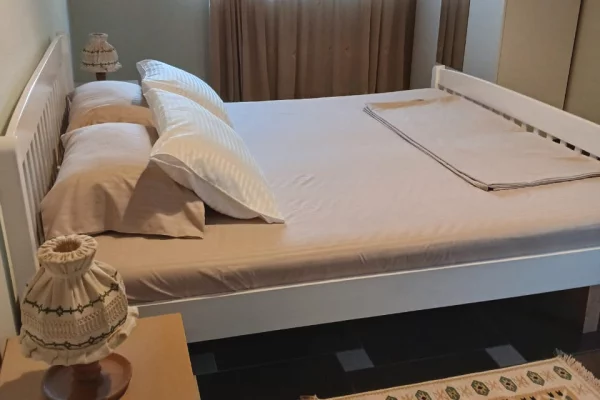 Shtepi me qera Apartament ne Tirane, 3+1, Mobilimi E mobiluar, Pagesa 700  Euro.