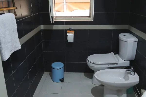 Shtepi me qera Apartament ne Tirane, 3+1, Mobilimi E mobiluar, Pagesa 700  Euro.