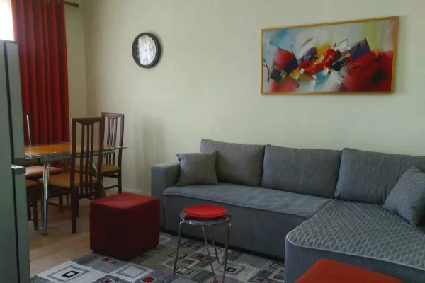 Ali Demi - Jepet  Apartament 1+1 me qira  !