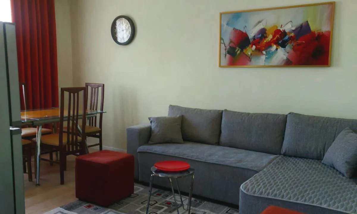 Shtepi me qera Apartament ne Tirane, 1+1, Mobilimi E mobiluar, Pagesa 480  Euro.