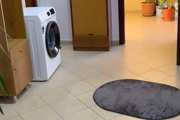 Shtepi me qera Apartament ne Tirane, 2+1, Mobilimi E mobiluar, Pagesa 400  Euro.