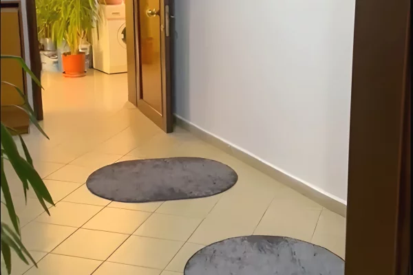 Shtepi me qera Apartament ne Tirane, 2+1, Mobilimi E mobiluar, Pagesa 400  Euro.