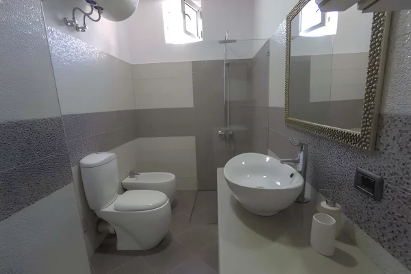 Shtepi me qera Apartament ne Tirane, 1+1, Mobilimi E mobiluar, Pagesa 500  Euro.