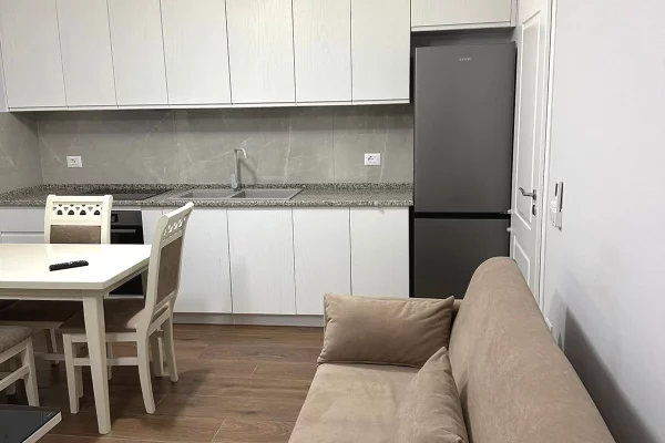 Shtepi me qera 1+1 ne Tirane - 400 Euro