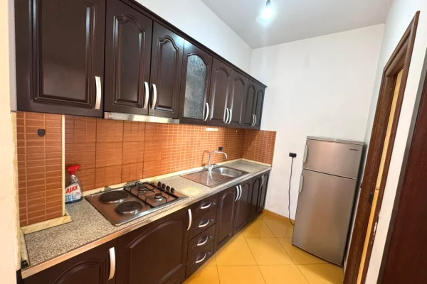 Shtepi me qera Apartament ne Tirane, 1+1, Mobilimi E mobiluar, Pagesa 450  Euro.