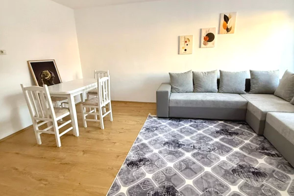 Shtepi me qera Apartament ne Tirane, 1+1, Mobilimi E mobiluar, Pagesa 500  Euro.