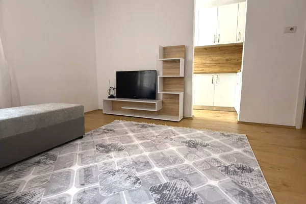 Shtepi me qera Apartament ne Tirane, 1+1, Mobilimi E mobiluar, Pagesa 500  Euro.