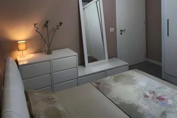 Shtepi me qera Apartament ne Tirane, 1+1, Mobilimi E mobiluar, Pagesa 850  Euro.