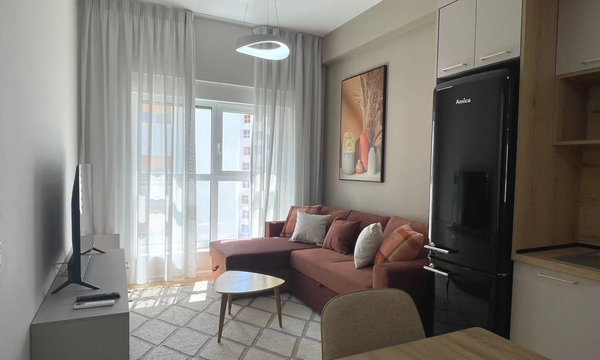 Shtepi me qera Apartament ne Tirane, 1+1, Mobilimi E mobiluar, Pagesa 470  Euro.