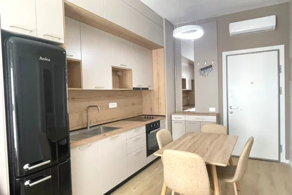 Shtepi me qera Apartament ne Tirane, 1+1, Mobilimi E mobiluar, Pagesa 470  Euro.