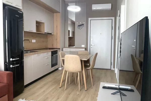 Shtepi me qera Apartament ne Tirane, 1+1, Mobilimi E mobiluar, Pagesa 470  Euro.
