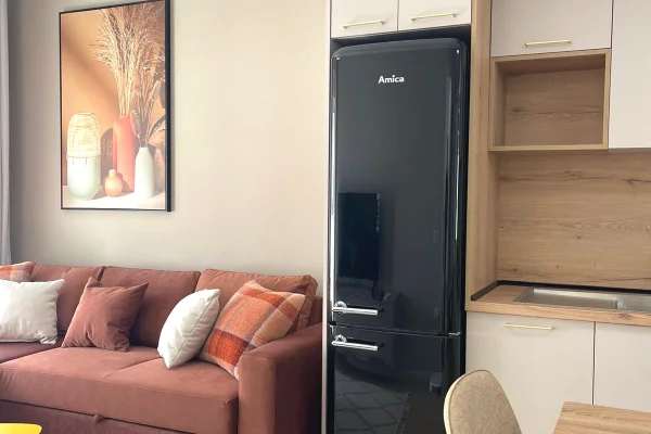 Shtepi me qera Apartament ne Tirane, 1+1, Mobilimi E mobiluar, Pagesa 470  Euro.