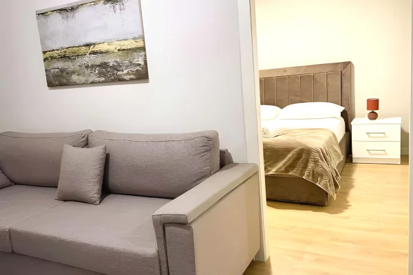 Shtepi me qera Apartament ne Tirane, 1+1, Mobilimi E mobiluar, Pagesa 650  Euro.