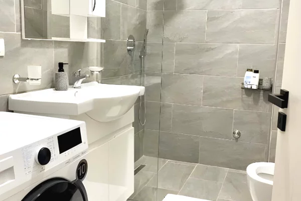 Shtepi me qera Apartament ne Tirane, 1+1, Mobilimi E mobiluar, Pagesa 650  Euro.