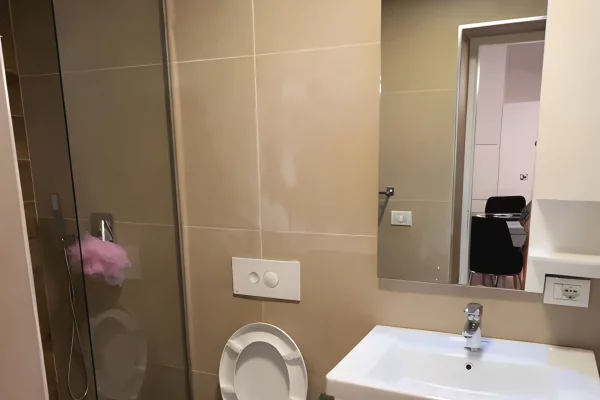 Shtepi me qera Apartament ne Tirane, 1+1, Mobilimi E mobiluar, Pagesa 550  Euro.