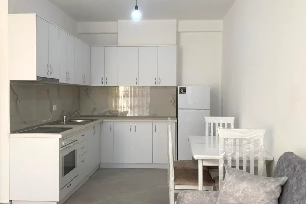 Shtepi me qera Apartament ne Tirane, 1+1, Mobilimi E mobiluar, Pagesa 450  Euro.