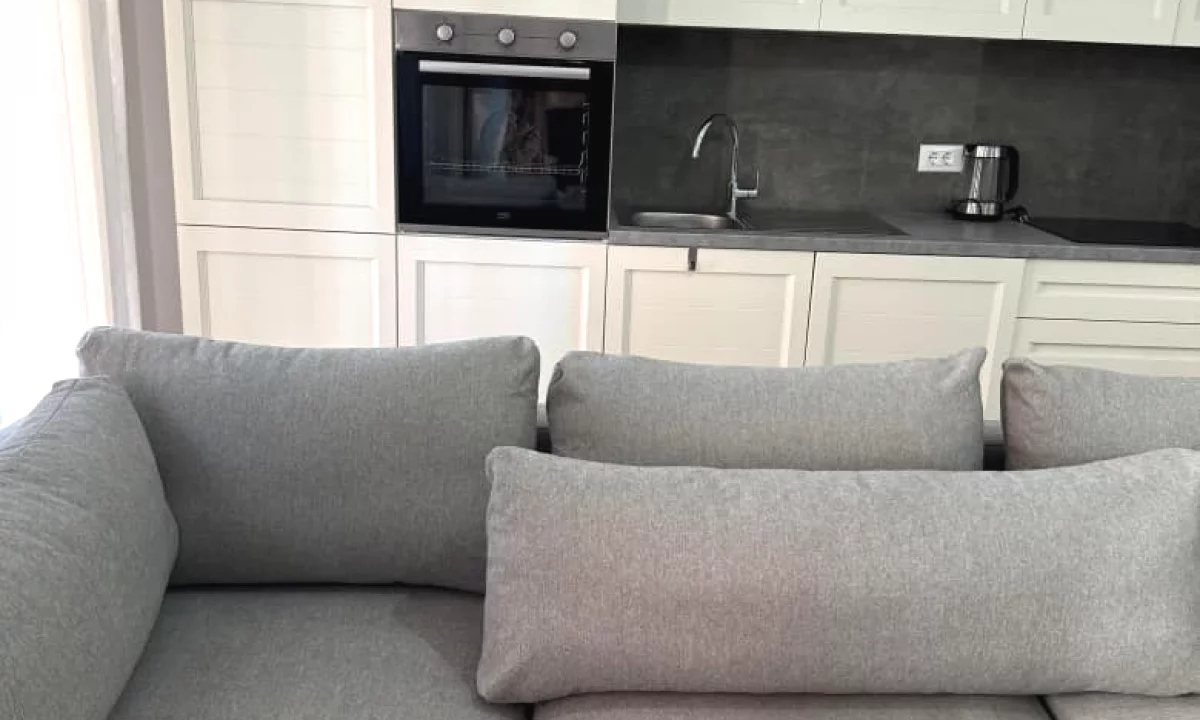 Shtepi me qera Apartament ne Tirane, 1+1, Mobilimi E mobiluar, Pagesa 750  Euro.