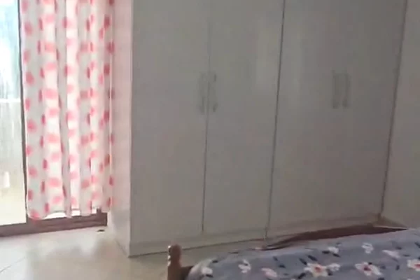 Shtepi me qera Apartament ne Tirane, 1+1, Mobilimi E mobiluar, Pagesa 350  Euro.