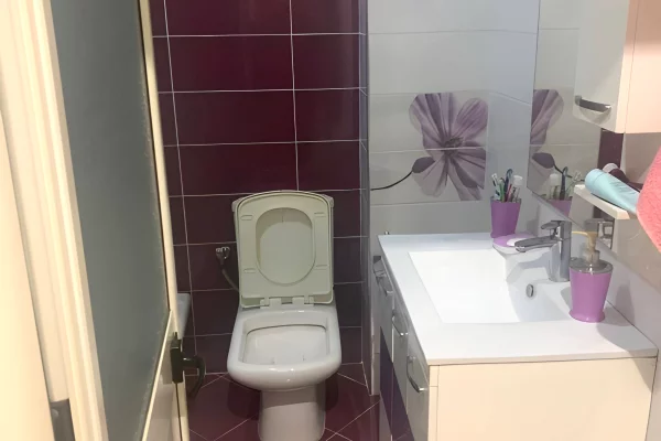 Shtepi me qera Apartament ne Tirane, 1+1, Mobilimi E mobiluar, Pagesa 450  Euro.