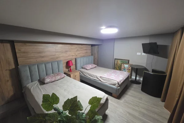 Shtepi ne shitje Duplex(shtepi me 2 kate) ne Tirane, 1+1, Mobilimi E mobiluar, Pagesa 95,000  Euro.