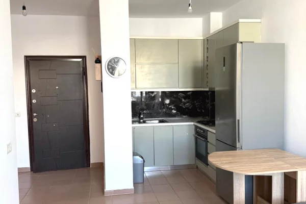 Shtepi me qera Apartament ne Tirane, 1+1, Mobilimi E mobiluar, Pagesa 380  Euro.