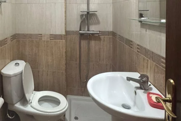Shtepi me qera Apartament ne Tirane, Garsoniere, Mobilimi E mobiluar, Pagesa 400  Euro.