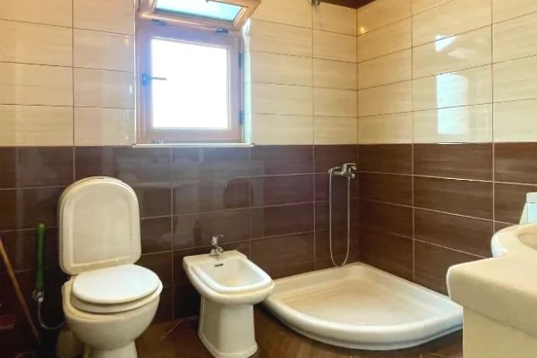 Shtepi me qera Apartament ne Tirane, 2+1, Mobilimi E mobiluar, Pagesa 450  Euro.
