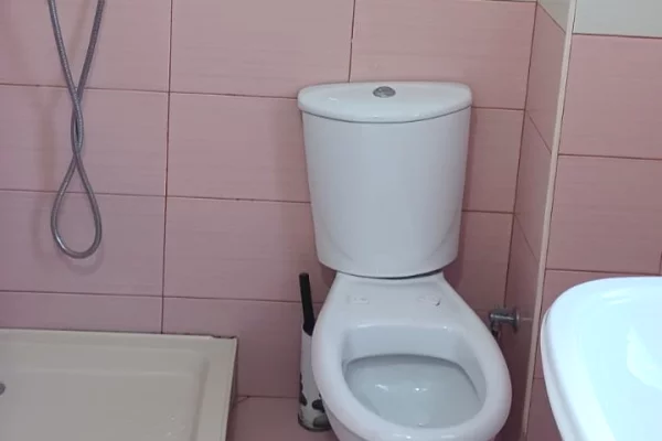 Shtepi me qera Apartament ne Tirane, 2+1, Mobilimi E mobiluar, Pagesa 400  Euro.