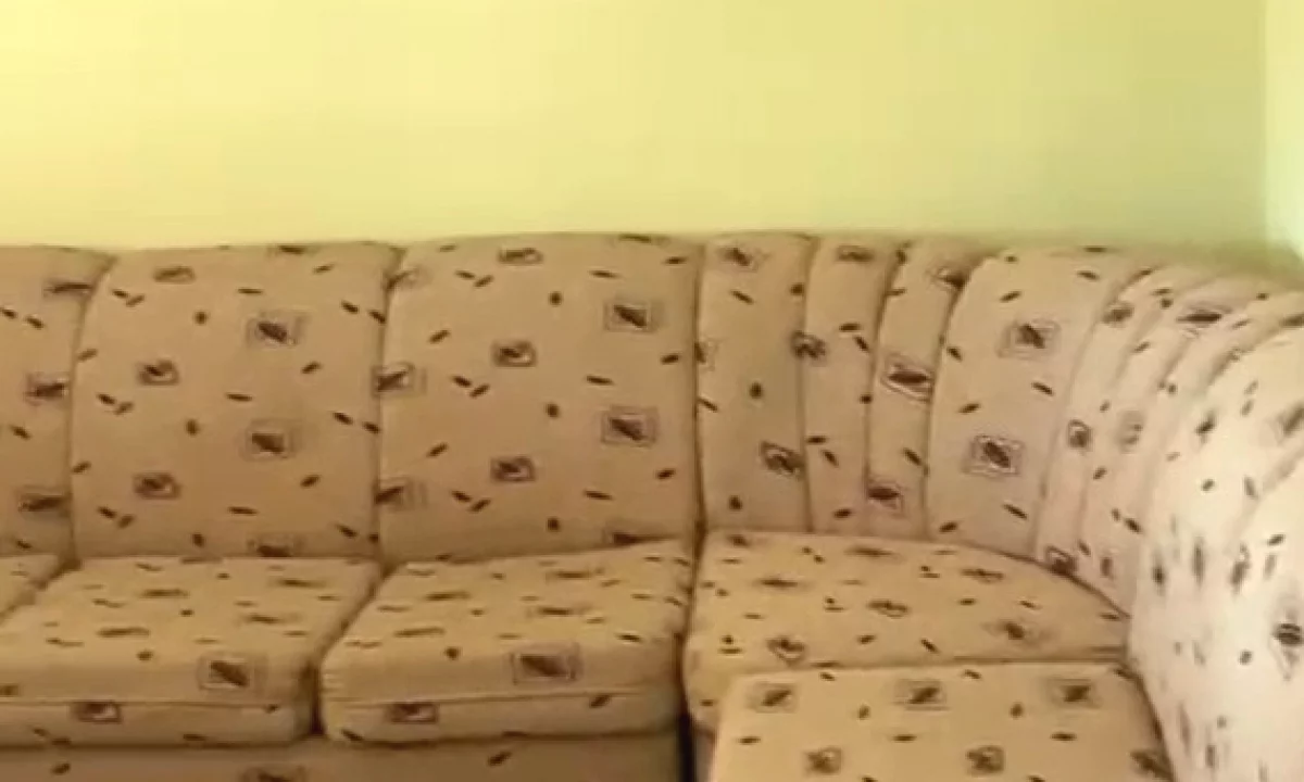 Shtepi me qera Apartament ne Tirane, 1+1, Mobilimi E mobiluar, Pagesa 250  Euro.