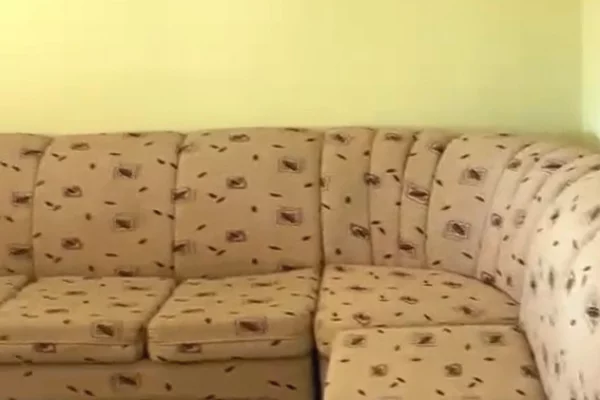 Shtepi me qera Apartament ne Tirane, 1+1, Mobilimi E mobiluar, Pagesa 250  Euro.