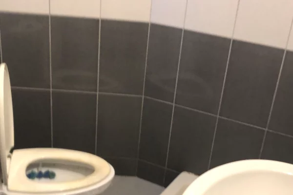 Shtepi me qera Apartament ne Tirane, 2+1, Mobilimi E mobiluar, Pagesa 350  Euro.