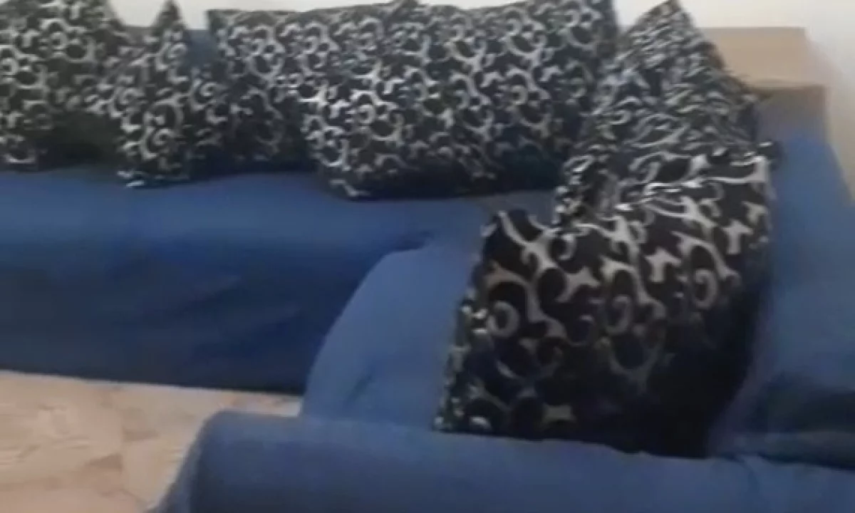 Shtepi me qera Apartament ne Tirane, 1+1, Mobilimi E mobiluar, Pagesa 300  Euro.