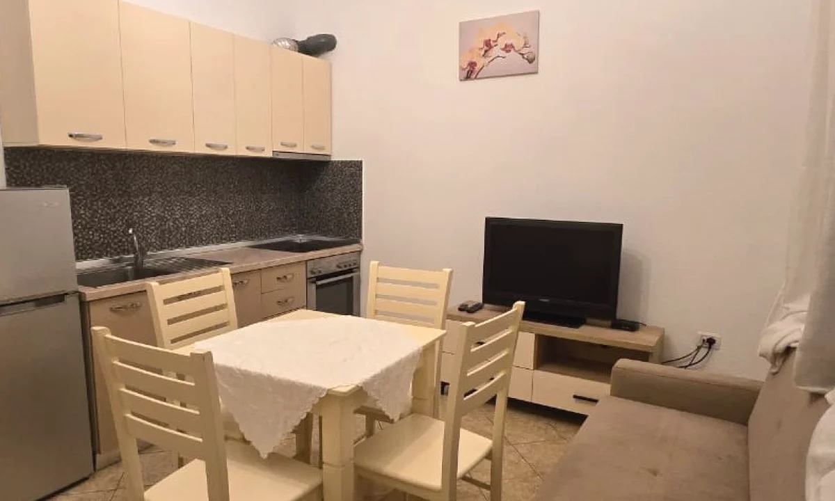 Shtepi me qera Apartament ne Tirane, 1+1, Mobilimi E mobiluar, Pagesa 330  Euro.